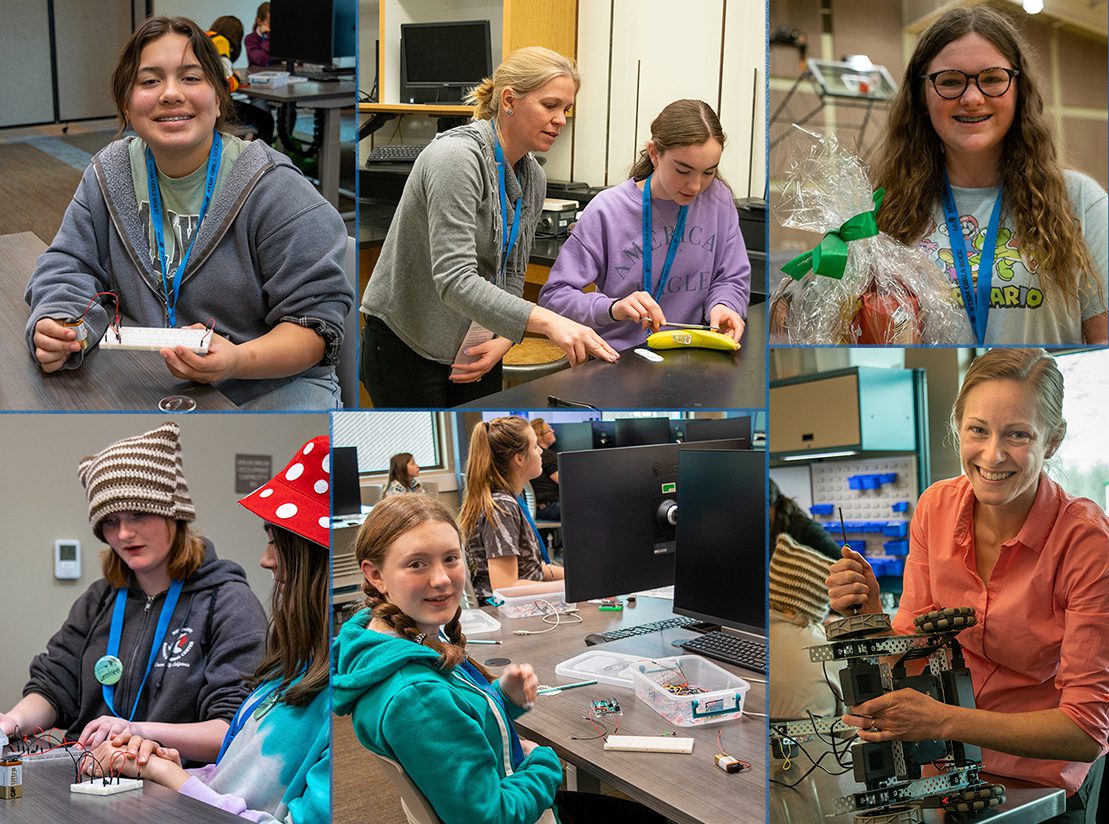 A collage of women working on computers.