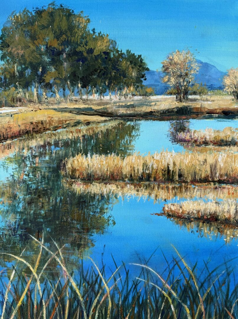 MIRROR IMAGE - Sacramento Wildlife Refuge IMG_3192 BARBARA ENOCHIAN